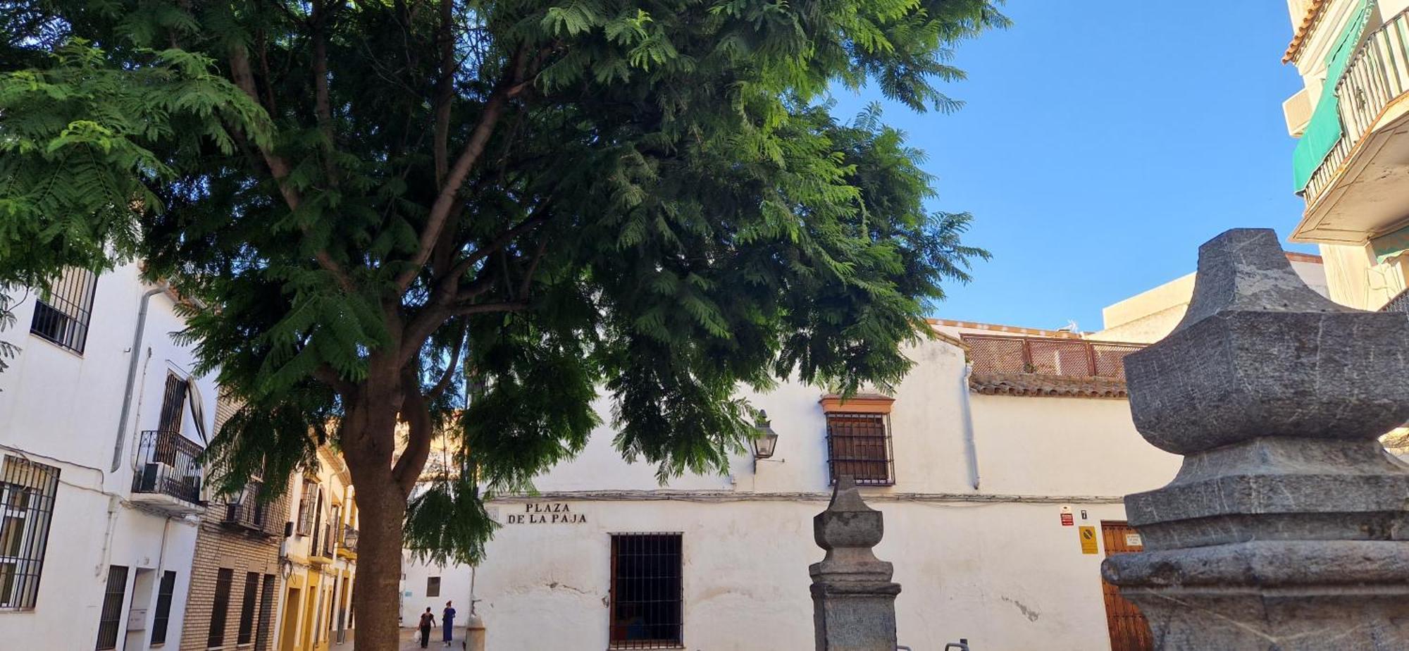 Terraza De La Axerquia Apartment